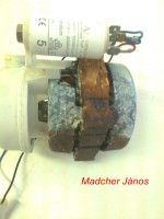 /album/fenykepgaleria/fenykep1028-jpg/